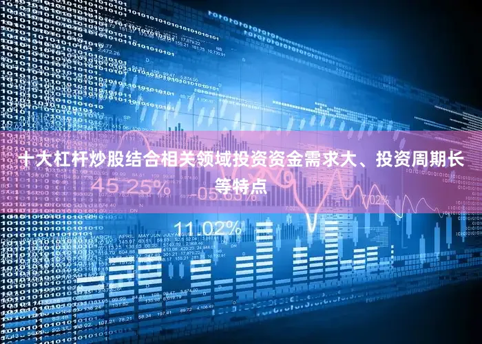十大杠杆炒股结合相关领域投资资金需求大、投资周期长等特点