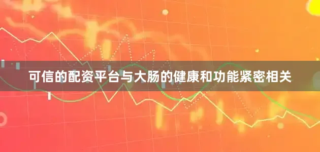 可信的配资平台与大肠的健康和功能紧密相关