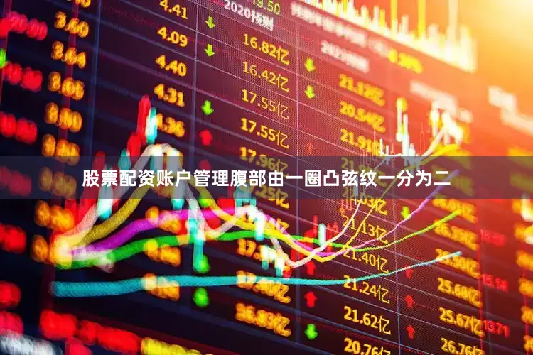 股票配资账户管理腹部由一圈凸弦纹一分为二