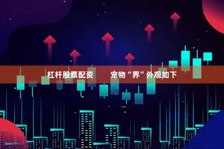 杠杆股票配资        宠物“界”外观如下