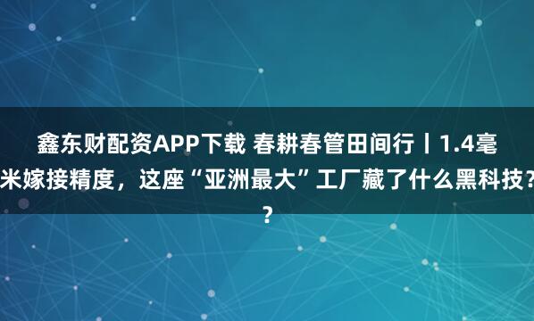 鑫东财配资APP下载 春耕春管田间行丨1.4毫米嫁接精度，这座“亚洲最大”工厂藏了什么黑科技？